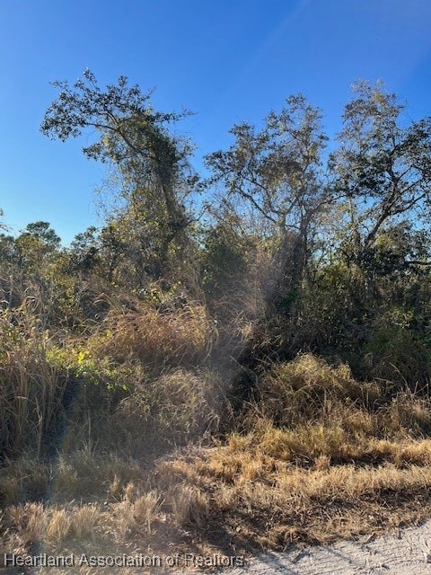 490 Citrus Trail, Lake Placid, FL 33852 - photo 2