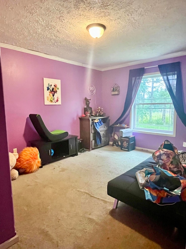 40040 Dill Rd, Hamilton, MS 39746 - photo 7