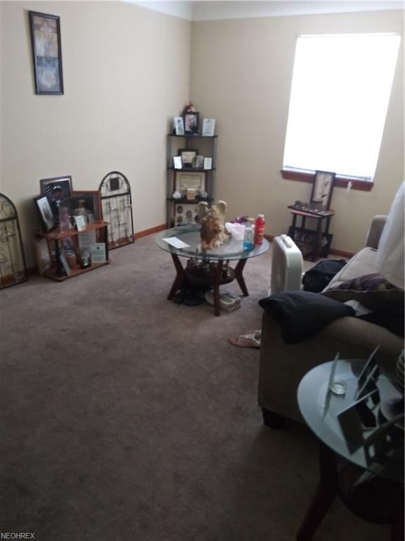 14135 Sylvia Ave, Cleveland, OH 44110 - photo 3