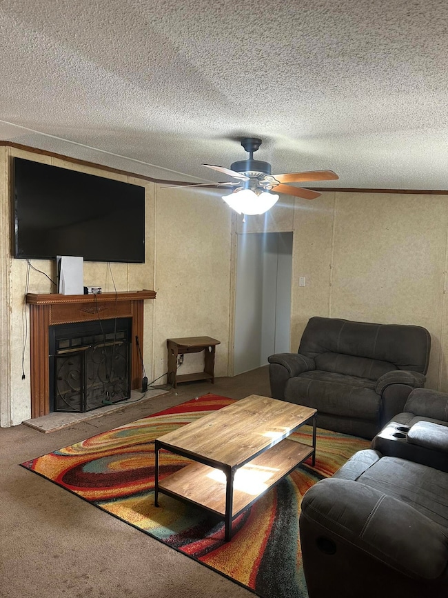 536 Apricot Ln, Reeds Spring, MO 65737 - photo 3