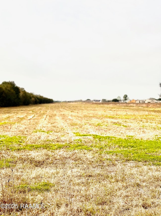 Tbd Louisiana 685, Erath, LA 70533 - photo 2