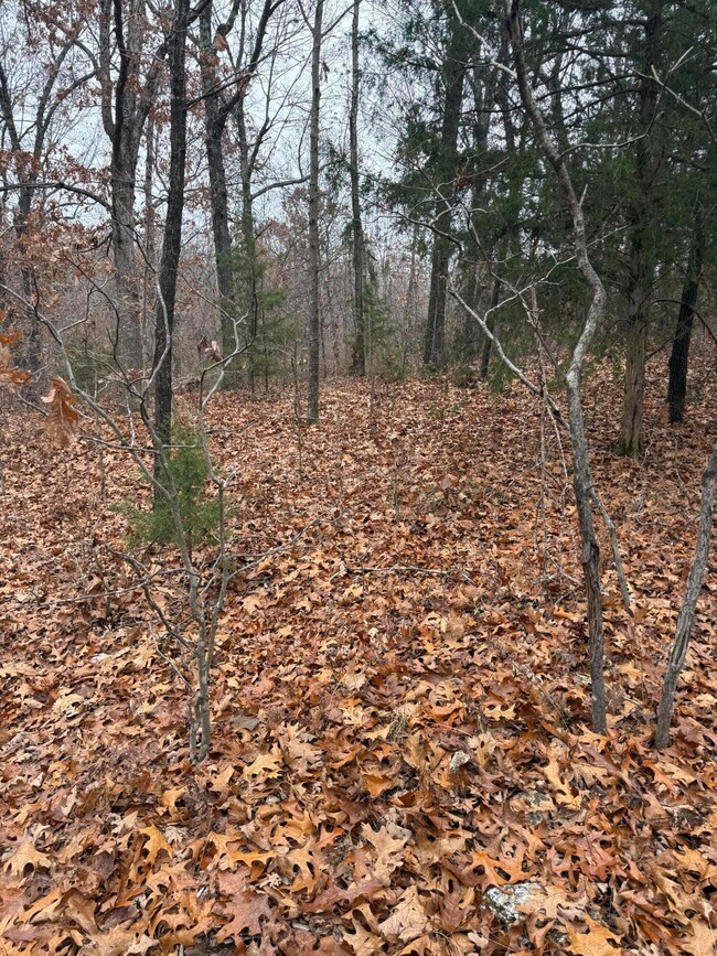 000 Pecan Dr, Grovespring, MO 65662 - photo 6