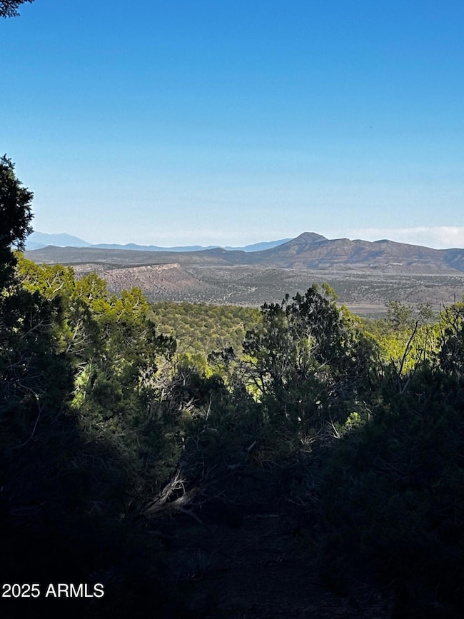 0 N Soaring Hawk Rd unit 498, Seligman, AZ 86337 - photo 2