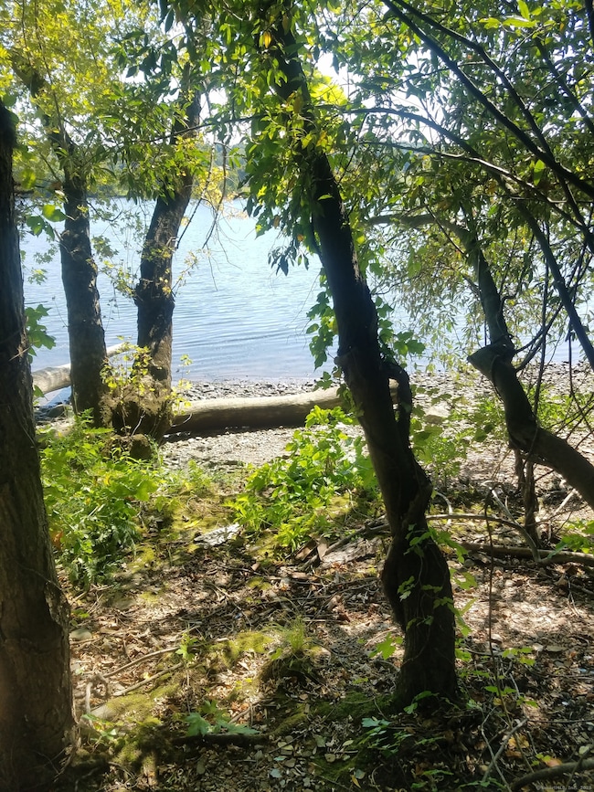 28 & 33 River Rd, Cromwell, CT 06416 - photo 5