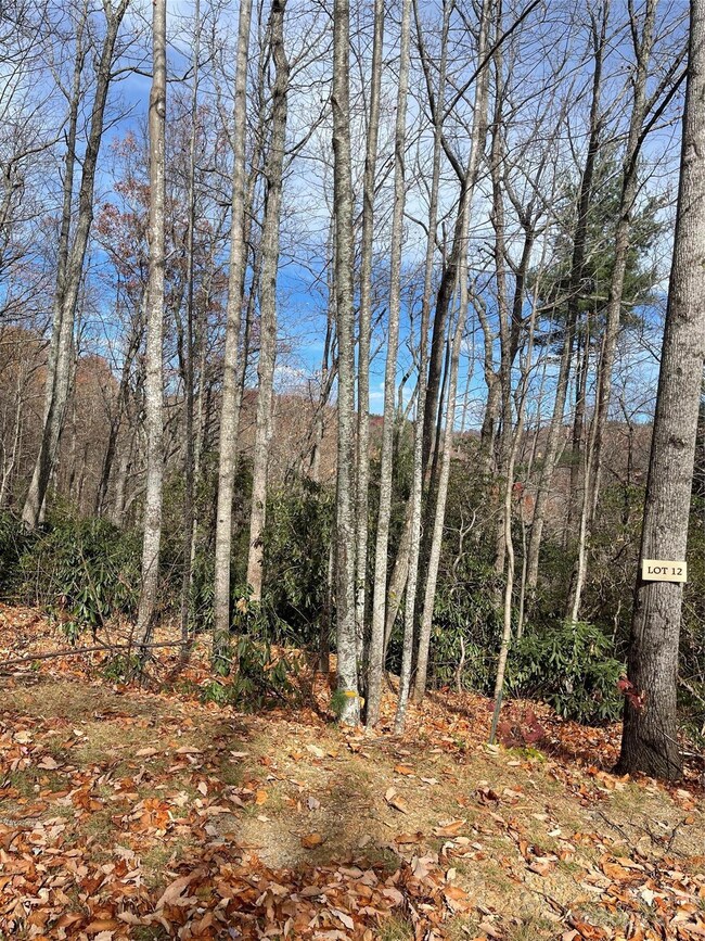 000 Eagle Ridge Rd, Zirconia, NC 28790 - photo 4