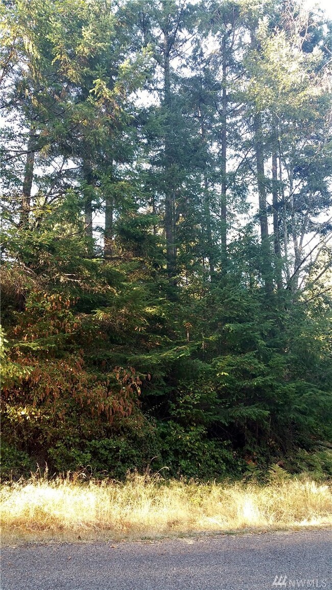 12711 97th Street Ct unit AI, Anderson Island, WA 98303 - photo 3