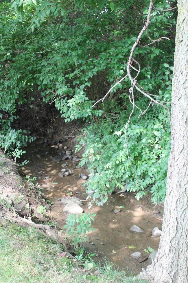 Lot backs to a small creek