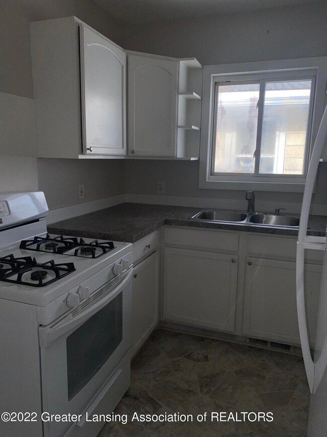 1017 S Holmes St, Lansing, MI 48912 - photo 3