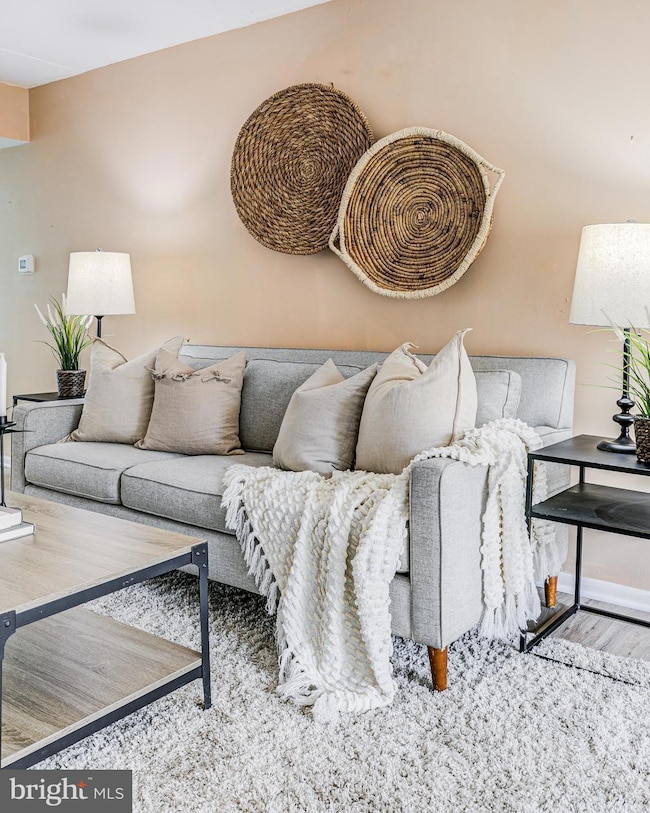 5236 W Running Brook Rd unit U101, Columbia, MD 21044 - photo 6