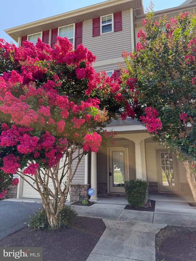 29565 Phoenix Ave unit 11, Dagsboro, DE 19939 - photo 2