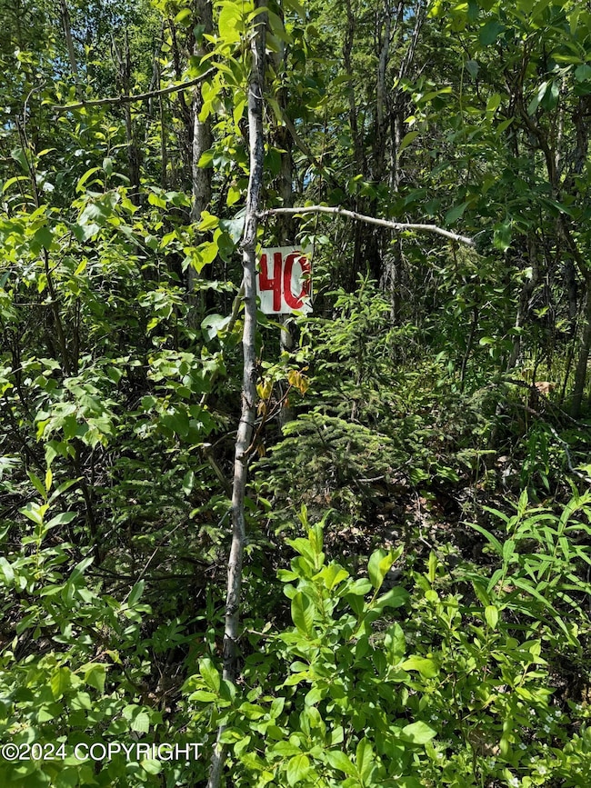 B005 Private Rd, Willow, AK 99688 - photo 6