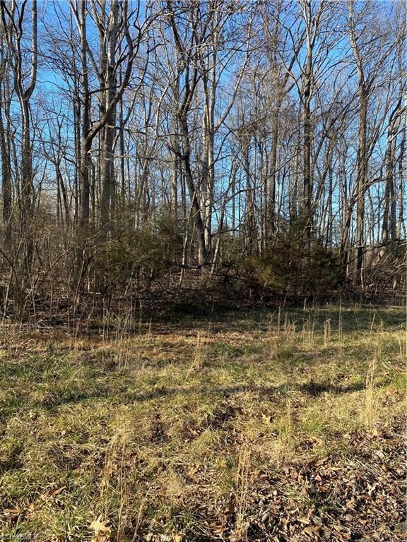 000 Southmont School Rd, Asheboro, NC 27205 - photo 2