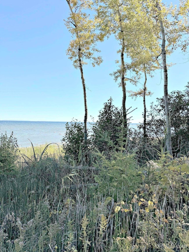 TBD E State Highway M35, Menominee, MI 49858 - photo 2