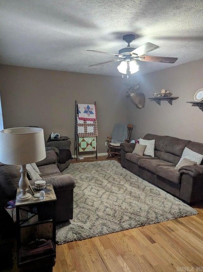 85 Peggy Ave, Mammoth Spring, AR 72554 - photo 3