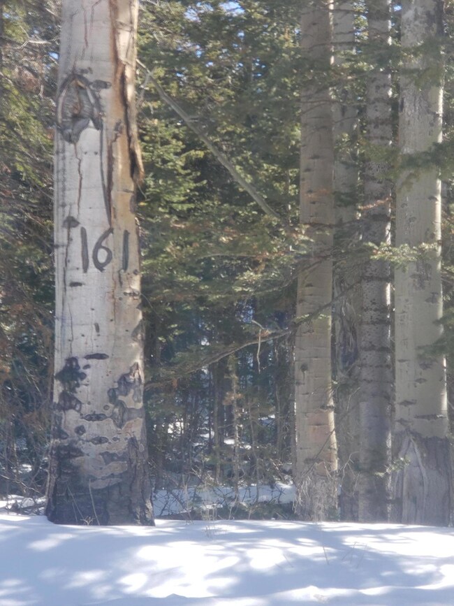 230 N 275 E, Brian Head, UT 84719 - photo 5