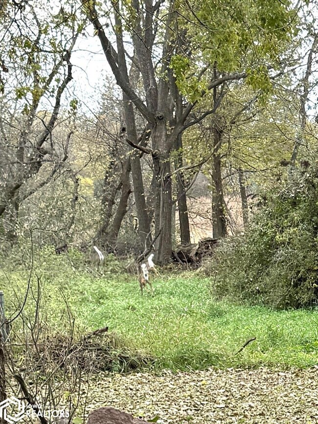 NA S 2nd Ave, Northwood, IA 50459 - photo 2