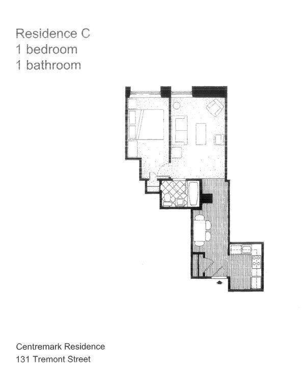 131 Tremont St unit 7C, Boston, MA 02111 - photo 5