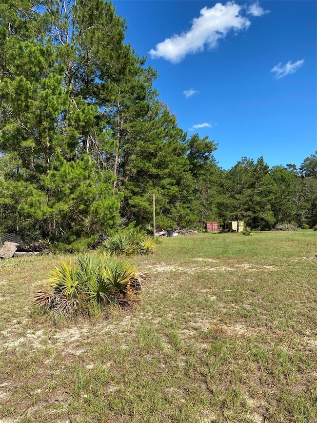 17171 SW 17th Cir, Ocala, FL 34473 - photo 5