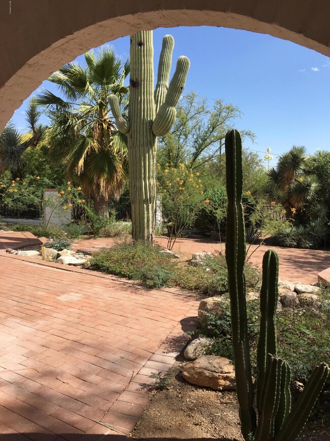 Backyard Patio