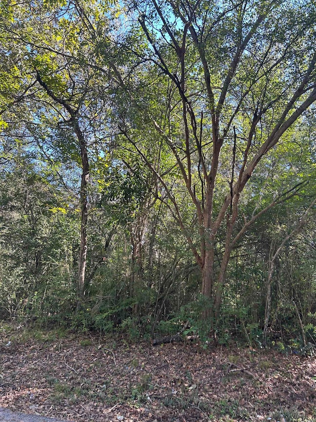 TBD Sanders St, Carthage, TX 75633 - photo 3