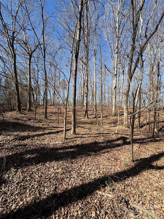 1417 Ellis Griffin Rd, Wingate, NC 28174 - photo 6