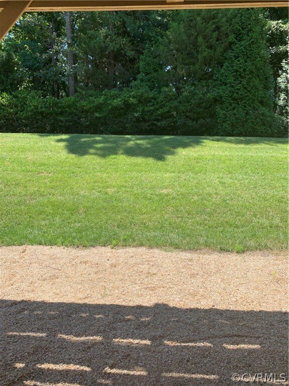 Rear Park Like Setting