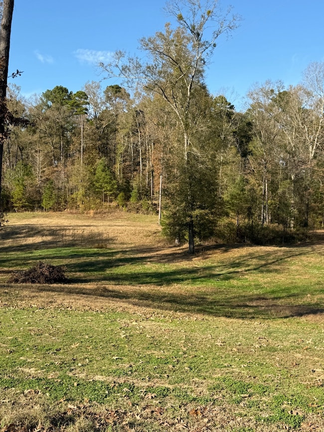 955 Fonsylvania Rd, Vicksburg, MS 39180 - photo 4