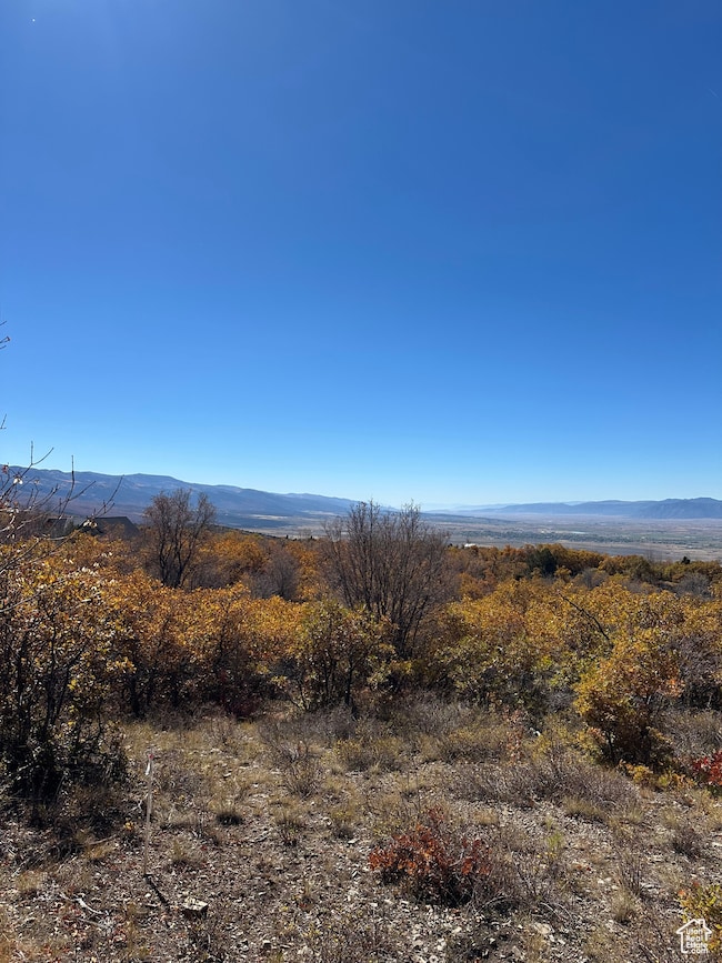 22949 N 13755 E unit 93, Fairview, UT 84629 - photo 4