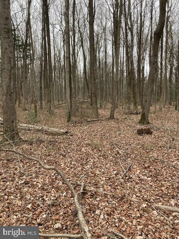 108 Kelly Driver Rd, Clementon, NJ 08021 - photo 2