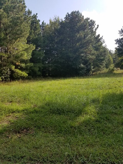 146 Deep Creek Point, Roanoke Rapids, NC 27870 - photo 5