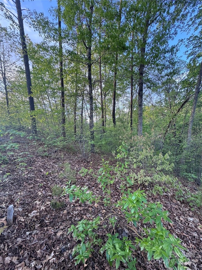 0 Willow Top Ln unit 315 CAR4131489, Lake Lure, NC 28746 - photo 3