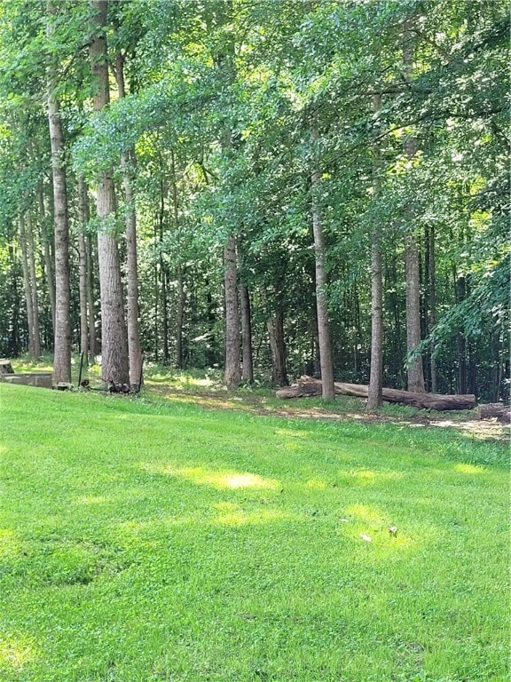 Rear lawn /parklike w/ woods