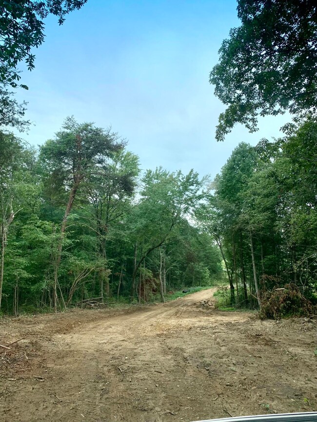 80B0BD72-8F13-4EED-8372-2A323566BC98