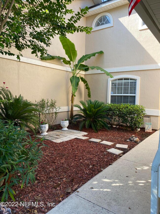 Tropical Oasis