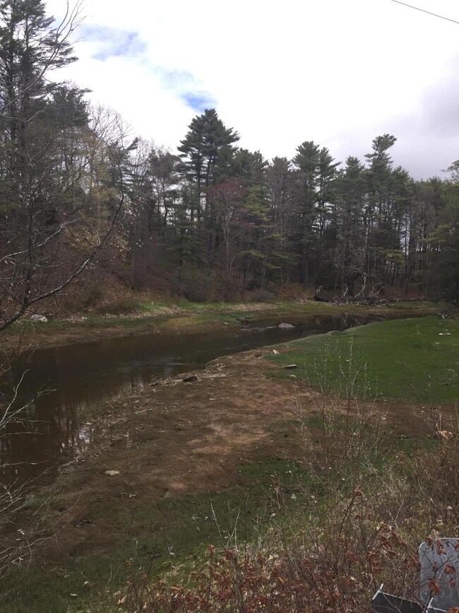 Tidal Mill Creek, Polly Clark Brook