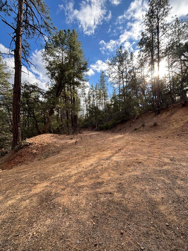 398 B & C Apache Trail, Pine, AZ 85544 - photo 6