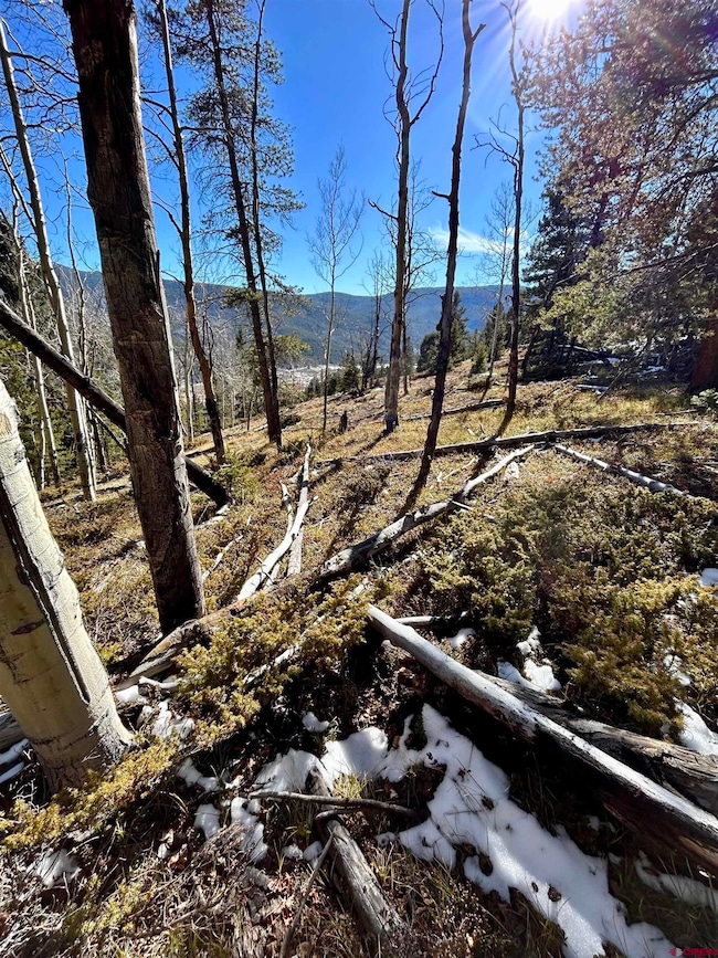 395 Soul's Ease Rd, Pitkin, CO 81241 - photo 7