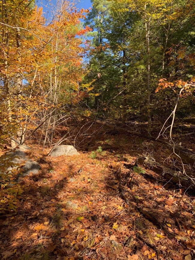 Lot 3 Journeys End Rd, Francestown, NH 03043 - photo 3