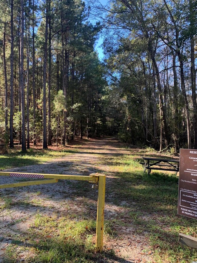 413 Honeyhill Loop unit Lot 96 Model Marco G, Conway, SC 29526 - photo 6