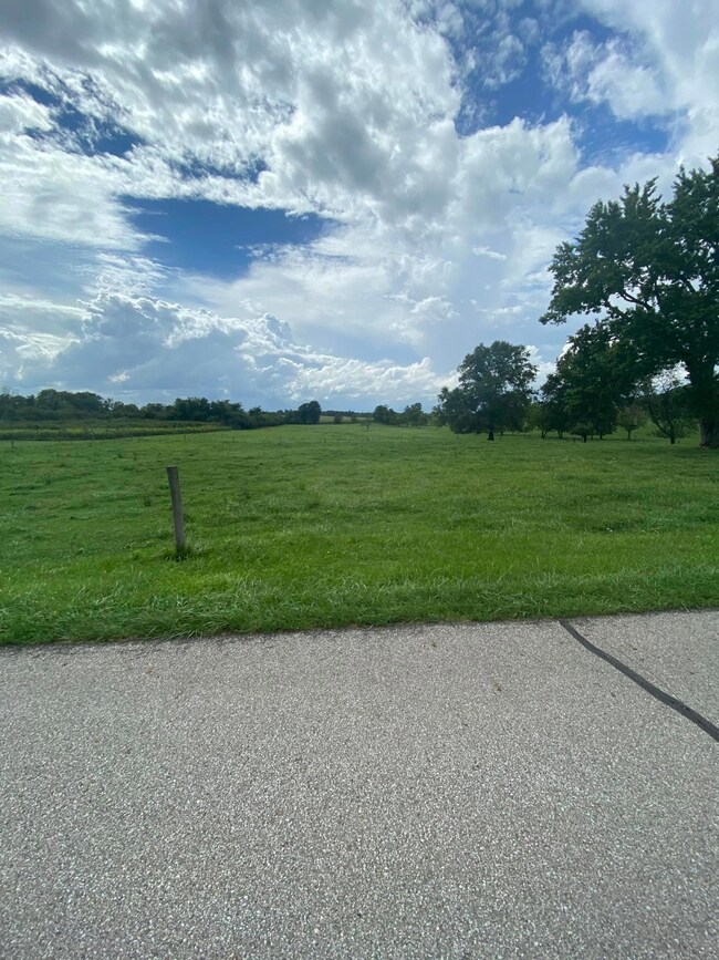 9632 Licking Trails Rd, Thornville, OH 43076 - photo 2