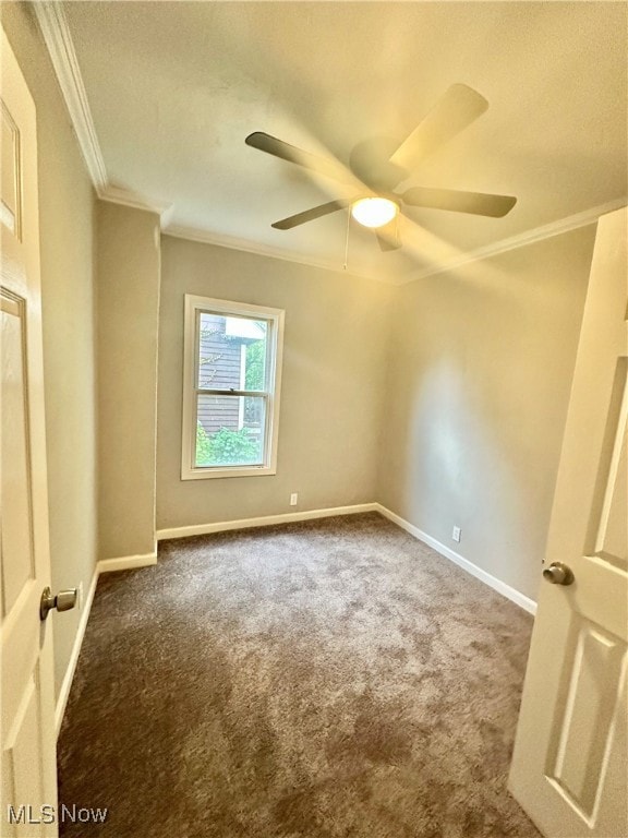 878 E 130th St, Cleveland, OH 44108 - photo 6