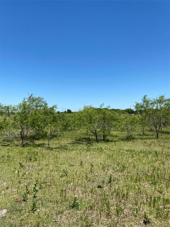Lot 7 TBD Fm 1181, Ennis, TX 75119 - photo 4