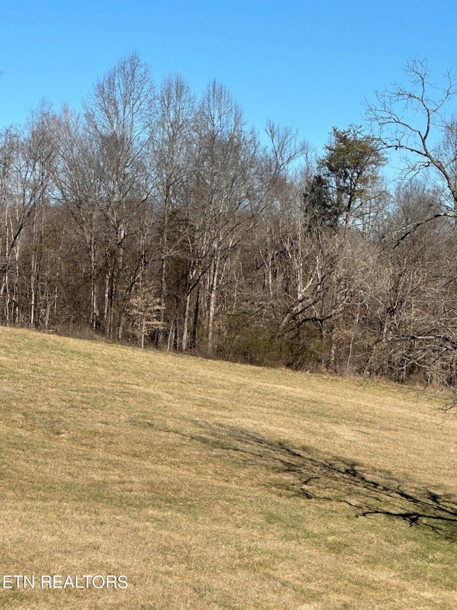 lot 41 1