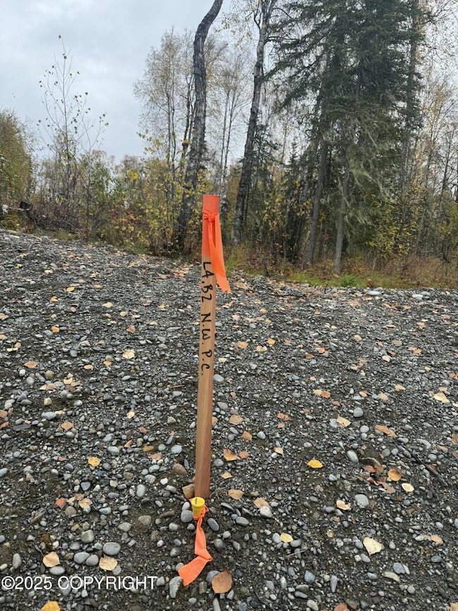 L4 S Lupine Cir, Talkeetna, AK 99676 - photo 2