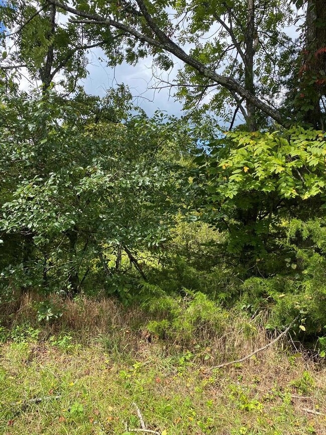 00 Center Point Acres, Walling, TN 38587 - photo 5