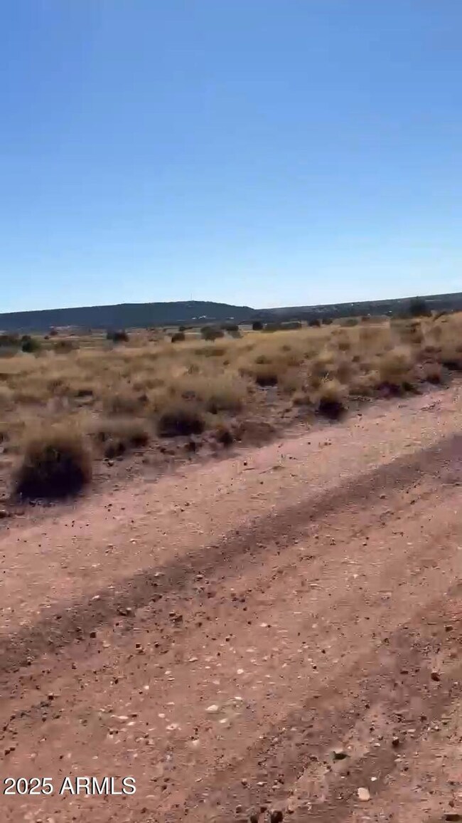 9615 E Place Trl Trail unit 39, Snowflake, AZ 85937 - photo 4