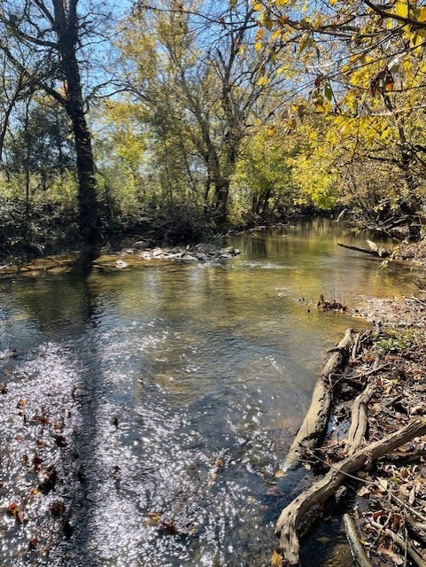 0 Old Nashville Dirt Rd, Shelbyville, TN 37160 - photo 4