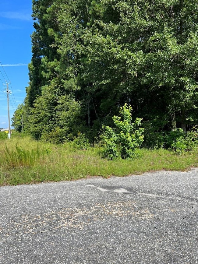 1002 Sterling St, Sumter, SC 29153 - photo 2