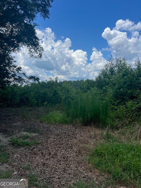 0 Wilson Rd unit 10564610, Milner, GA 30257 - photo 2