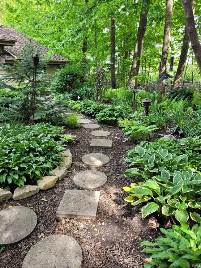 Pictures of the backyard in the Spring & Summer